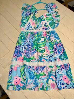 Lilly Pulitzer Floral Sundress in Blue, Pink, Green